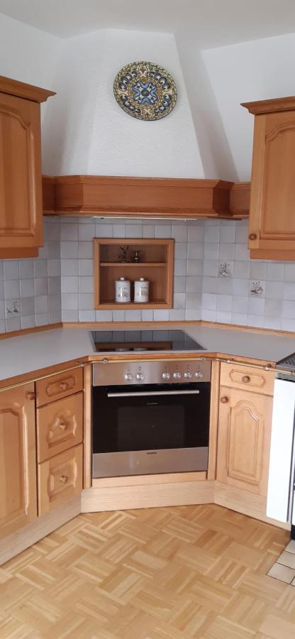 Ferienwohnung Steinberger Bischofshofen Dış mekan fotoğraf
