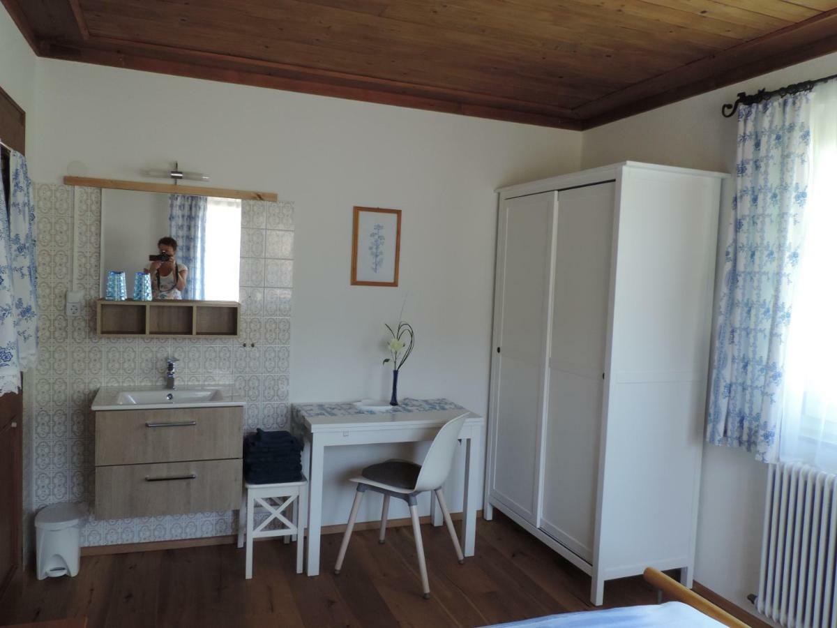 Ferienwohnung Steinberger Bischofshofen Dış mekan fotoğraf