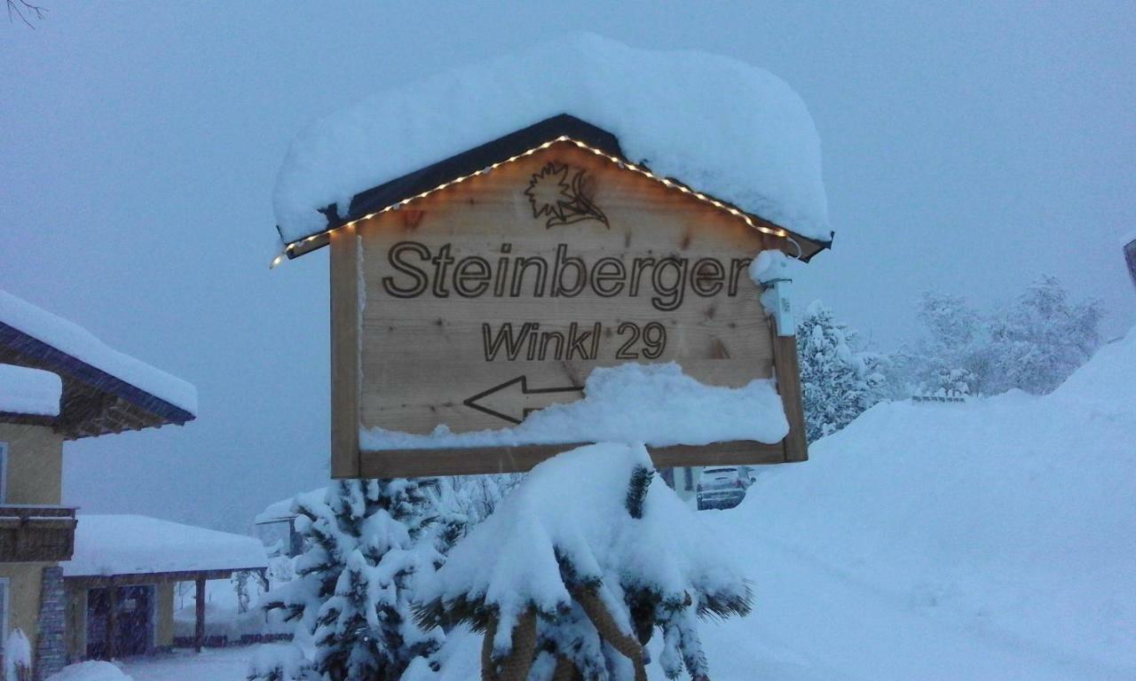 Ferienwohnung Steinberger Bischofshofen Dış mekan fotoğraf
