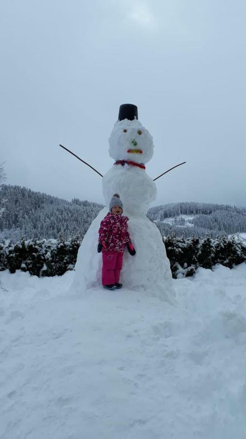 Ferienwohnung Steinberger Bischofshofen Dış mekan fotoğraf